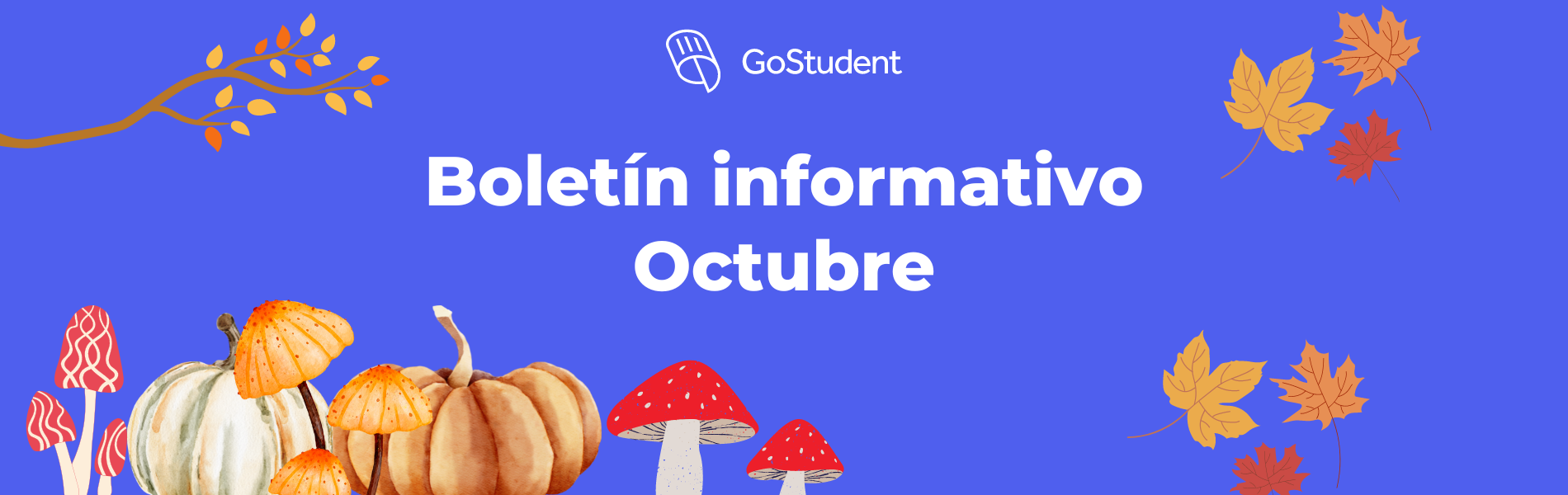 🧾Boletín Informativo No.2