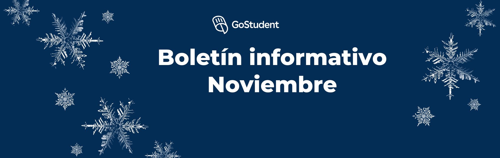 🧾 Boletín Informativo No.3