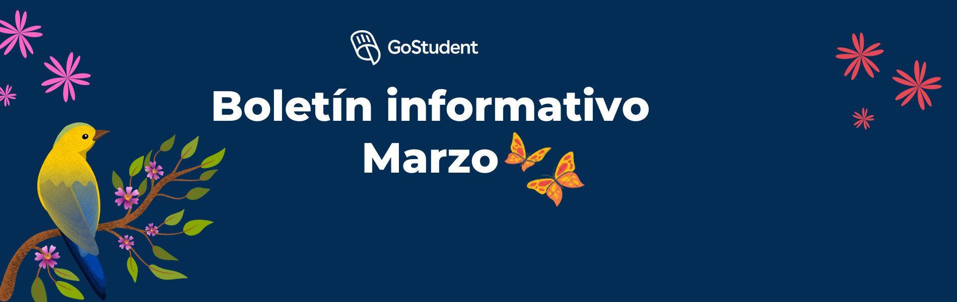 Boletín informativo No. 7