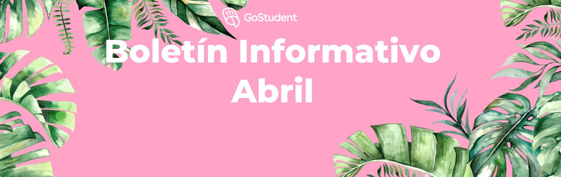 Boletín informativo no. 8